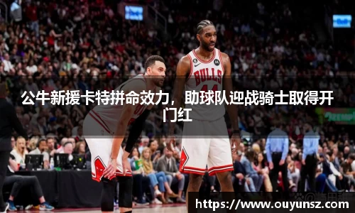 熊猫体育平台官网